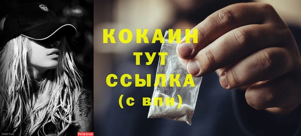 PSILOCYBIN Вязьма