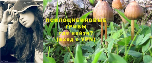 PSILOCYBIN Вязьма